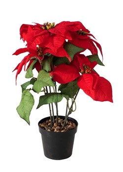 Boltze Sztuczny kwiat w kolorze czerwonym - wys. 40 x Ø 30 cm ze sklepu Limango Polska w kategorii Doniczki i osłonki - zdjęcie 187792725