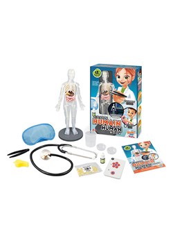 BUKI Model ciała - 8+ ze sklepu Limango Polska w kategorii Zabawki - zdjęcie 187793589