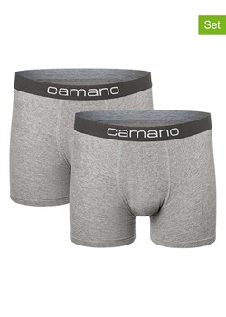 camano Bokserki (2 pary) w kolorze szarym ze sklepu Limango Polska w kategorii Majtki męskie - zdjęcie 187813779