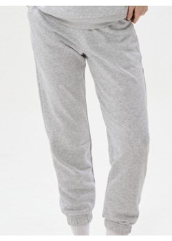 Sinsay - Dresowe spodnie jogger terry - szary ze sklepu Sinsay w kategorii Spodnie damskie - zdjęcie 187832377