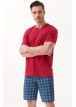 Luna 803 piżama męska ze sklepu intimiti.pl w kategorii Piżamy męskie - zdjęcie 187865957