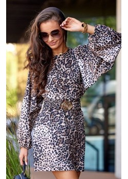 Sukienka z paskiem w zwierzęcy print 0374/Y08 ze sklepu intimiti.pl w kategorii Sukienki - zdjęcie 187876957