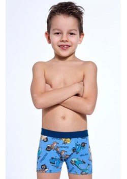 Cornette Kids Boy 701/148 Scooter bokserki chłopięce ze sklepu intimiti.pl w kategorii Majtki dziecięce - zdjęcie 187892778