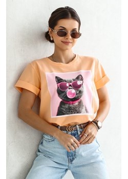 T-shirt kotek okulary brzoskwinka ze sklepu intimiti.pl w kategorii Bluzki damskie - zdjęcie 187902966