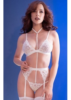 Chilirose 4865 komplet z chokerem ze sklepu intimiti.pl w kategorii Komplety bielizny damskiej - zdjęcie 187904375