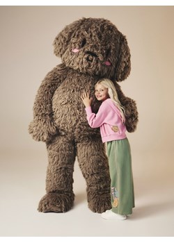 Reserved - Spodnie dresowe z nadrukiem Boffie & Poko - jasnozielony ze sklepu Reserved w kategorii Spodnie chłopięce - zdjęcie 187936145