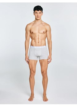 Bokserki męskie bawełniane szare Aragon 901 ze sklepu Big Star w kategorii Majtki męskie - zdjęcie 187972159