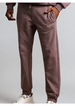 Sinsay - Spodnie jogger - fioletowy ze sklepu Sinsay w kategorii Spodnie męskie - zdjęcie 187983576