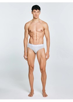 Slipy męskie bawełniane szare Gandalf 901 ze sklepu Big Star w kategorii Majtki męskie - zdjęcie 187990636