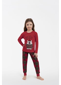 Tess piżama dziecięca długi rękaw, długie spodnie ze sklepu italianfashion w kategorii Piżamy dziecięce - zdjęcie 188003419