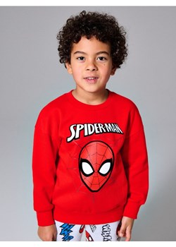 Sinsay - Bawełniana bluza z nadrukiem Spider-Man - czerwony ze sklepu Sinsay w kategorii Bluzy chłopięce - zdjęcie 188029035
