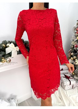 Czerwona Koronkowa Sukienka z Ozdobną Kokardą ze sklepu ModnaKiecka.pl w kategorii Sukienki - zdjęcie 188052649