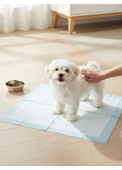 Sinsay - Podkłady higieniczne dla zwierząt 15 pack - biały ze sklepu Sinsay w kategorii Dla zwierząt - zdjęcie 188063956