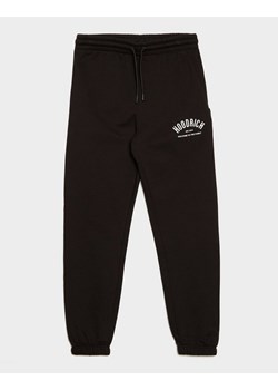 HOODRICH SPODNIE VOLCANO ze sklepu JD Sports  w kategorii Spodnie męskie - zdjęcie 188078958