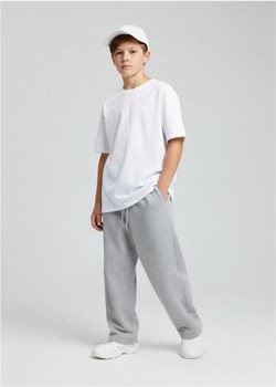 Sinsay - Spodnie dresowe straight - szary ze sklepu Sinsay w kategorii Spodnie chłopięce - zdjęcie 188092496
