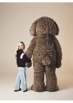 Reserved - Bluza z haftem - ciemnobrązowy ze sklepu Reserved w kategorii Bluzy chłopięce - zdjęcie 188093267