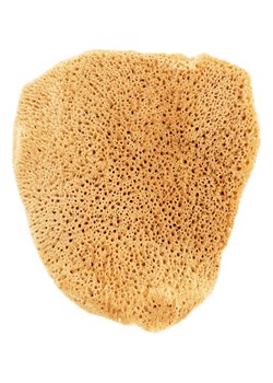 Lullalove Gąbka naturalna w kolorze żółtym ze sklepu Limango Polska w kategorii Akcesoria łazienkowe - zdjęcie 188160137