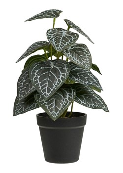 House Nordic Sztuczna roślina w kolorze zielonym - wys. 33 cm ze sklepu Limango Polska w kategorii Doniczki i osłonki - zdjęcie 188163395