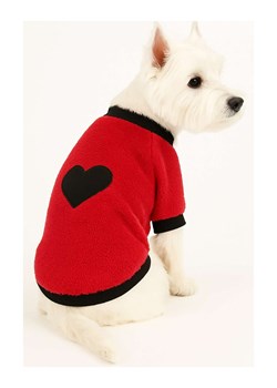 Paws&amp;Whiskers Bluza w kolorze czerwonym dla psa ze sklepu Limango Polska w kategorii Dla zwierząt - zdjęcie 188165146
