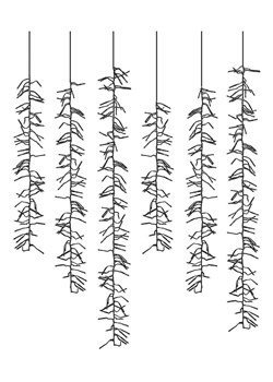 WellHome Łańcuch świetlny LED w kolorze ciepłej bieli - dł. 1000 cm ze sklepu Limango Polska w kategorii Oświetlenie - zdjęcie 188170387