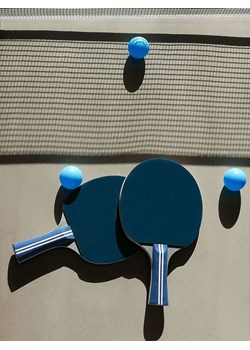 Printworks Zestaw do tenisa stołowego - 10+ ze sklepu Limango Polska w kategorii Zabawki - zdjęcie 188191605