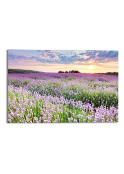 Orangewallz Druk artystyczny "Lavender Slope" ze sklepu Limango Polska w kategorii Obrazy - zdjęcie 188280188