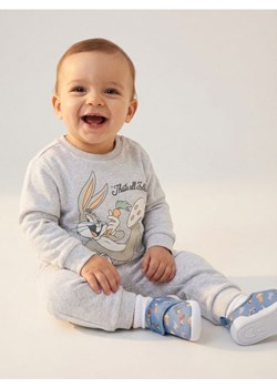 Sinsay - Komplet dresowy Looney Tunes - szary ze sklepu Sinsay w kategorii Komplety chłopięce - zdjęcie 188332425