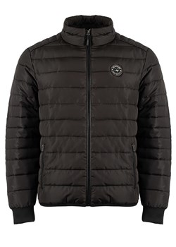 Roadsign Kurtka pikowana w kolorze czarnym ze sklepu Limango Polska w kategorii Kurtki męskie - zdjęcie 188345085