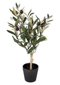 Clayre &amp; Eef Sztuczna roślina w kolorze zielonym - wys. 50 x Ø 15 cm ze sklepu Limango Polska w kategorii Doniczki i osłonki - zdjęcie 188375656