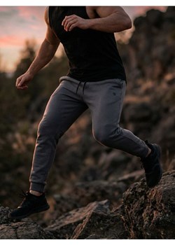 Sinsay - Spodnie tapered fit - szary ze sklepu Sinsay w kategorii Spodnie męskie - zdjęcie 188389475