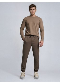 Sinsay - Spodnie dresowe jogger - brązowy ze sklepu Sinsay w kategorii Spodnie męskie - zdjęcie 188389477