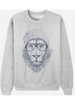 WOOOP Bluza "Cool Lion" w kolorze szarym ze sklepu Limango Polska w kategorii Bluzy damskie - zdjęcie 188391728