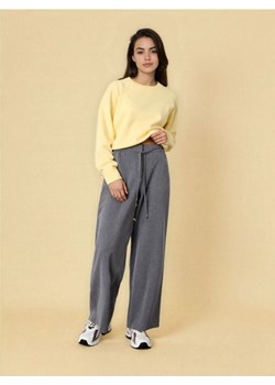Sinsay - Spodnie materiałowe z szeroką nogawką - szary ze sklepu Sinsay w kategorii Spodnie damskie - zdjęcie 188542956