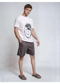 Sinsay - Klapki z rzepem - szary ze sklepu Sinsay w kategorii Klapki męskie - zdjęcie 188549009