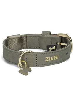 Zwei Obroża w kolorze khaki - dł. 38 cm ze sklepu Limango Polska w kategorii Dla zwierząt - zdjęcie 188568838