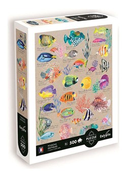 Calypto 500-częściowe puzzle "Exotic fishes" - 8+ ze sklepu Limango Polska w kategorii Puzzle - zdjęcie 188577336
