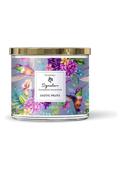 CANDLE-LITE Świeca zapachowa "Exotic Fruits" - 410 g ze sklepu Limango Polska w kategorii Świece i dyfuzory - zdjęcie 188586419