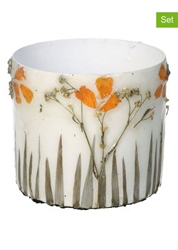 Kersten Doniczki (3 szt.) "Dried Flowers" w kolorze kremowym - wys. 8 x Ø 9 cm ze sklepu Limango Polska w kategorii Doniczki i osłonki - zdjęcie 188614968