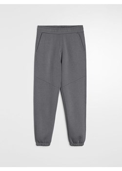 Sinsay - Spodnie dresowe regular fit - szary ze sklepu Sinsay w kategorii Spodnie męskie - zdjęcie 188634049