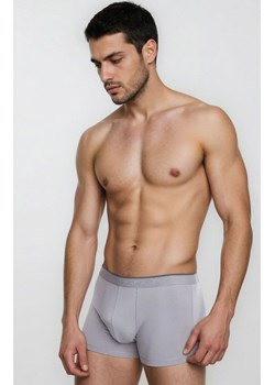 Szare bokserki męskie z dłuższymi nogawkami Iron, Kolor szary, Rozmiar M, Julimex ze sklepu Intymna w kategorii Majtki męskie - zdjęcie 188646259