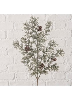 Boltze Dekoracyjna gałązka "Kiefer" w kolorze zielonym - wys. 6 cm ze sklepu Limango Polska w kategorii Doniczki i osłonki - zdjęcie 188666249