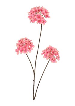 daan kromhout Sztuczny kwiat "Hydrangea" w kolorze jasnoróżowo-brązowym - wys. 85 cm ze sklepu Limango Polska w kategorii Doniczki i osłonki - zdjęcie 188713439