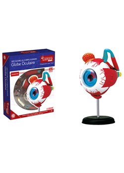 MGM Model edukacyjny "Oko" - 8+ ze sklepu Limango Polska w kategorii Zabawki - zdjęcie 188742045