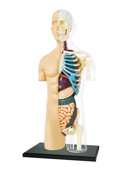 MGM 37-częściowy zestaw naukowy - 8+ ze sklepu Limango Polska w kategorii Zabawki - zdjęcie 188742057