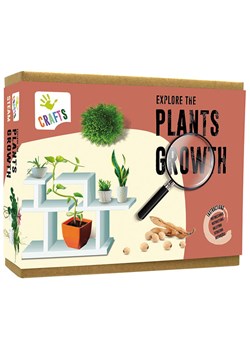 Andreu Toys Zestaw eksperymentalny  "Explore the Plants Growth" - 8+ ze sklepu Limango Polska w kategorii Zabawki - zdjęcie 188742478