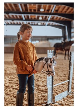 ASTRUP Przeszkoda do hobby horsingu - 3+ ze sklepu Limango Polska w kategorii Zabawki - zdjęcie 188802268