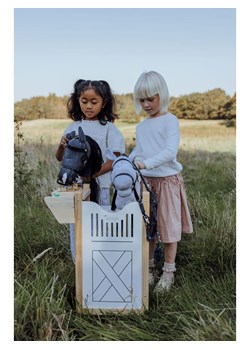 ASTRUP Boks dla 2 koni na kiju - 3+ ze sklepu Limango Polska w kategorii Zabawki - zdjęcie 188802357