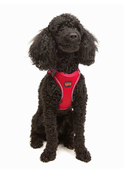 Paws&amp;Whiskers Szelki w kolorze czerwonym dla psa ze sklepu Limango Polska w kategorii Dla zwierząt - zdjęcie 188812857