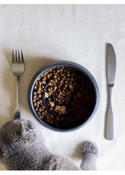 Paws&amp;Whiskers Miska w kolorze czarnym dla zwierząt - wys. 6 x Ø 14 cm ze sklepu Limango Polska w kategorii Dla zwierząt - zdjęcie 188813095