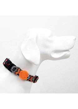 Paws&amp;Whiskers Obroża w kolorze czarno-pomarańczowym dla psa ze sklepu Limango Polska w kategorii Dla zwierząt - zdjęcie 188813218